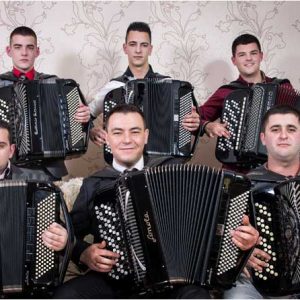 skola-harmonike-ivana-makevica-34